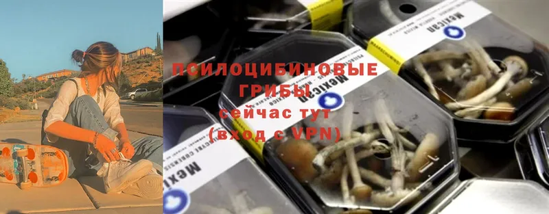 Галлюциногенные грибы Psilocybe  Феодосия 